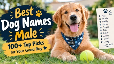 Best Dog Names Male 100+ Top Picks for Your Good Boy